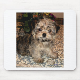 Shorkie Puppy Mouse Mat
