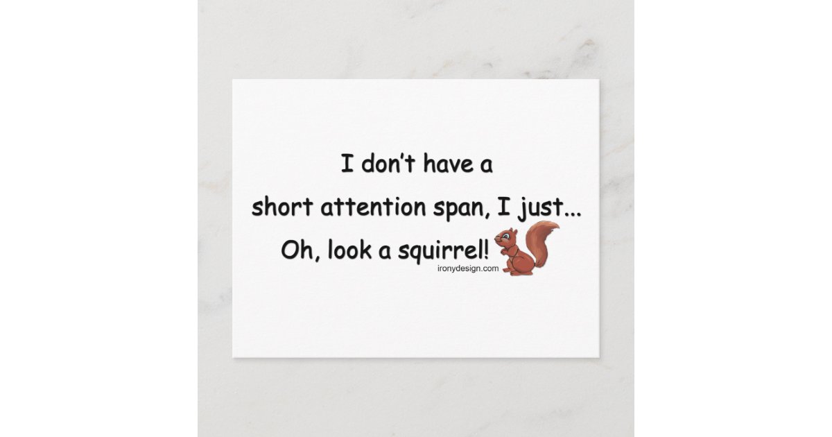 Short Attention Span Squirrel Postcard Zazzle