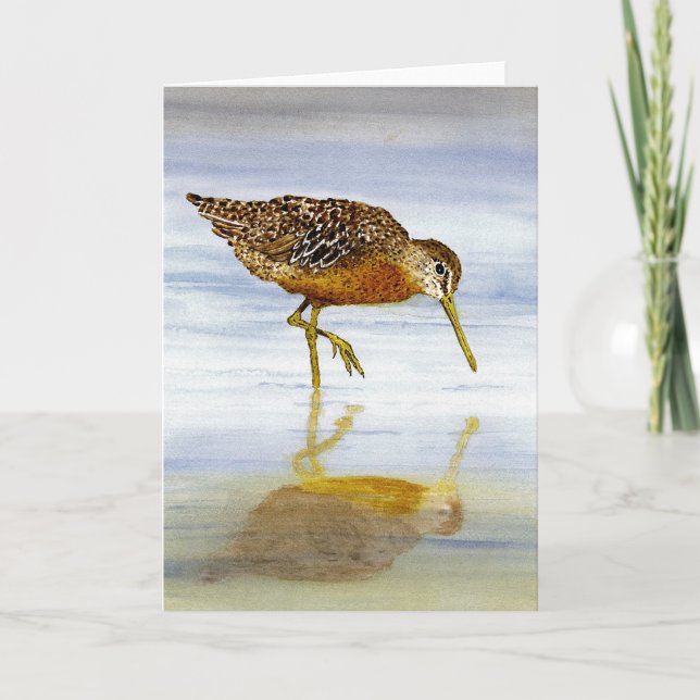 Short-Billed Dowitcher Card (Front)