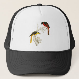 Short-billed Minivet Trucker Hat