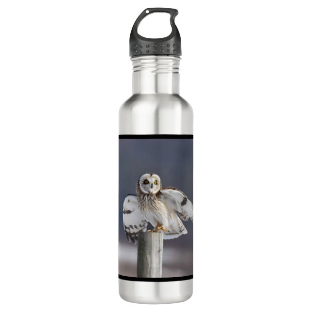 Short-Eared Owl 2 710 Ml Water Bottle (Front)