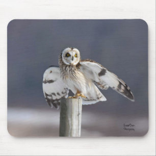 Short-Eared Owl 2 Mouse Mat