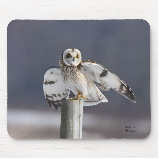 Short-Eared Owl 2 Mouse Mat (Front)