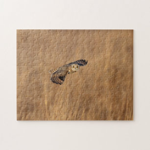 Short-eared owl at the Shawangunk Grasslands Jigsaw Puzzle