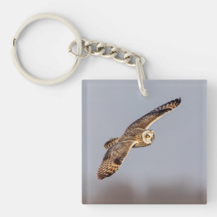 Short-eared owl at the Shawangunk Grasslands Key Ring