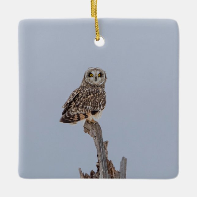 Short-Eared Owl Ceramic Ornament (Front)