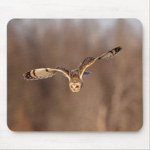 Short-eared owl diving towards the ground mouse mat
