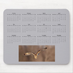 Short-eared owl full year 2025 calendar mouse mat