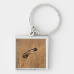 Short-eared owl in flight at the grasslands key ring