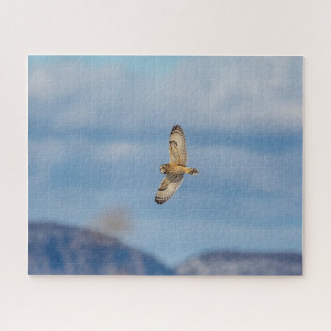 Short-eared owl in flight jigsaw puzzle (Horizontal)