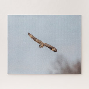 Short-eared owl in flight jigsaw puzzle