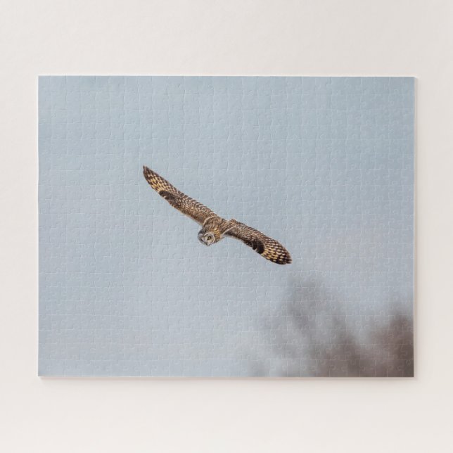 Short-eared owl in flight jigsaw puzzle (Horizontal)