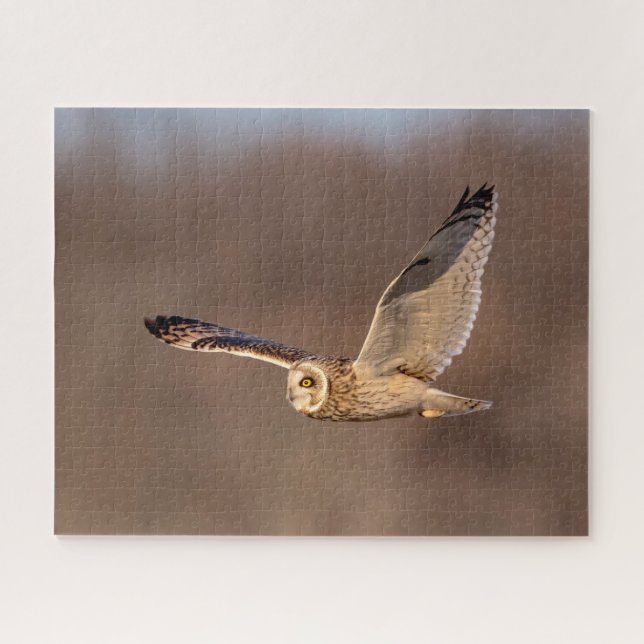 Short-eared owl in flight jigsaw puzzle (Horizontal)