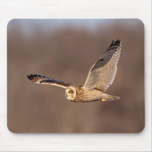 Short-eared owl in flight mouse mat