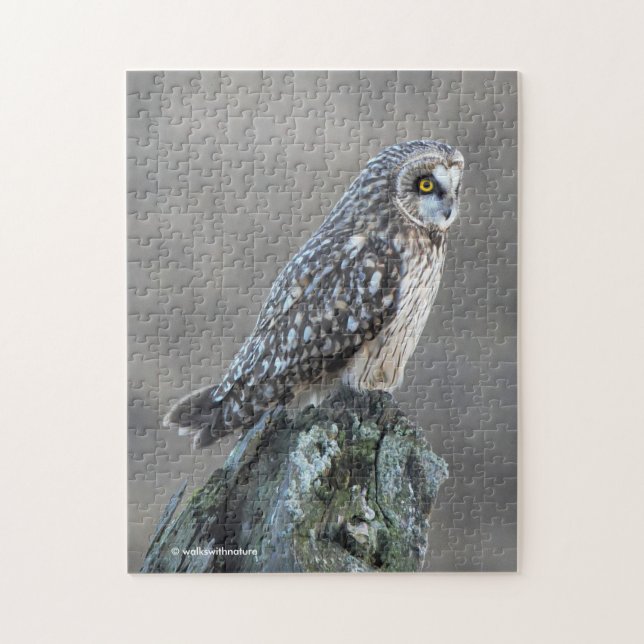 Short-Eared Owl in the Marsh Jigsaw Puzzle (Vertical)