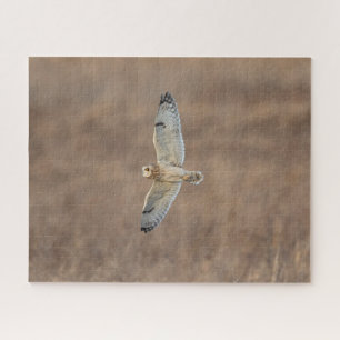Short-Eared Owl Jigsaw Puzzle