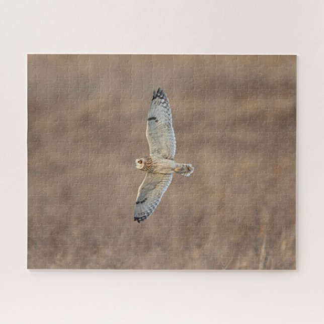 Short-Eared Owl Jigsaw Puzzle (Horizontal)