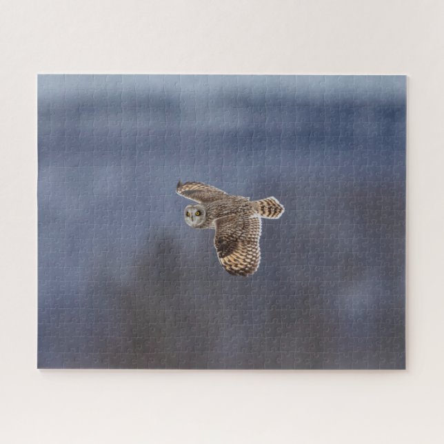 Short-Eared Owl Jigsaw Puzzle (Horizontal)