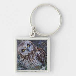 Short-eared Owl Key Ring