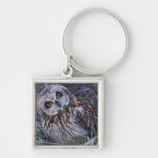 Short-eared Owl Key Ring (Front)