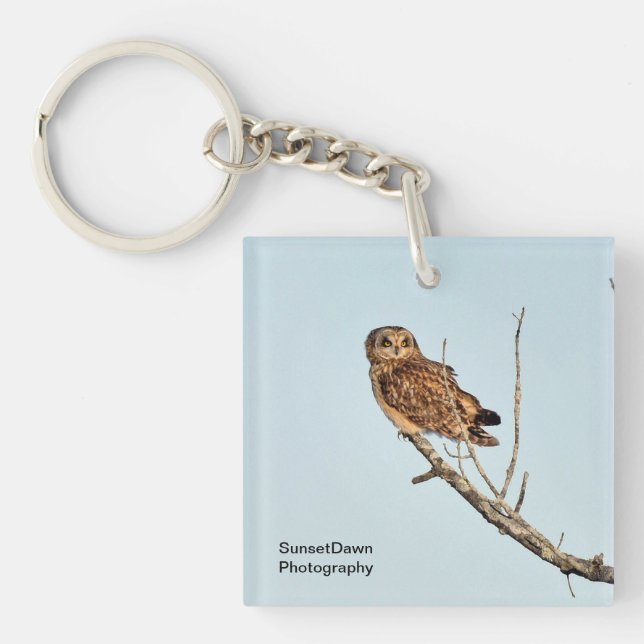 Short-Eared Owl Key Ring (Front)