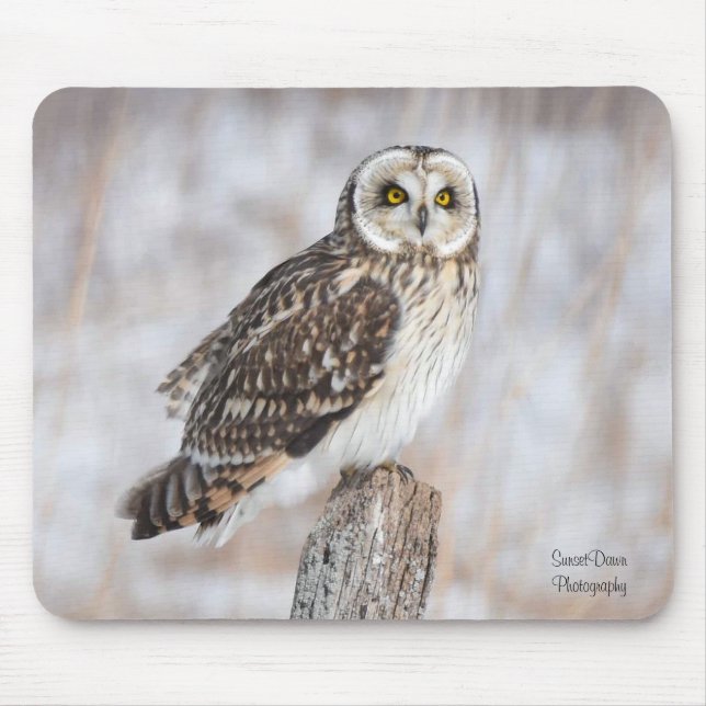Short-Eared Owl Mouse Mat (Front)