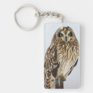 Short-eared Owl on fence post Key Ring
