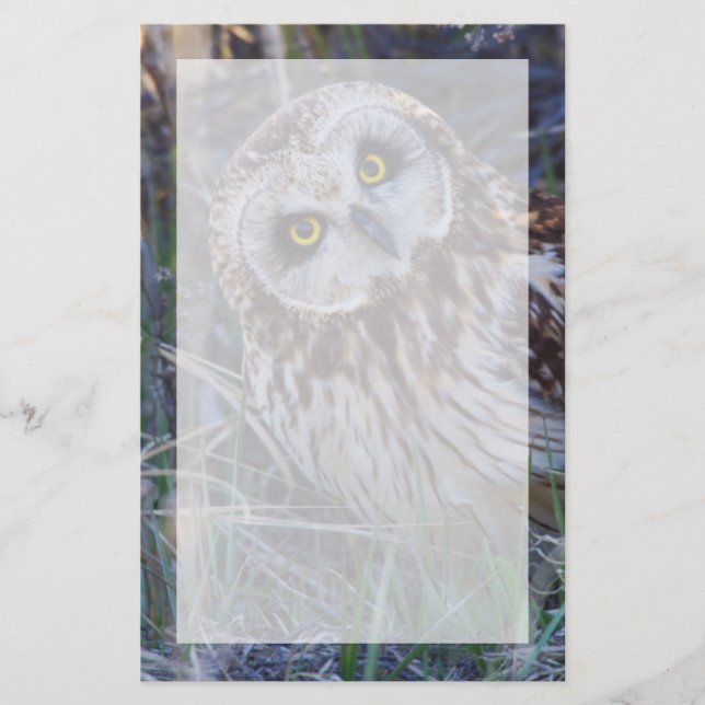 Short-eared Owl Stationery (Front)