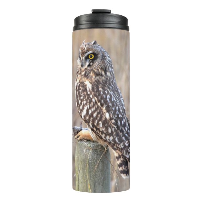 Short-Eared Owl with Vole Thermal Tumbler (Front)