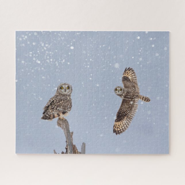 Short-Eared Owls Jigsaw Puzzle (Horizontal)