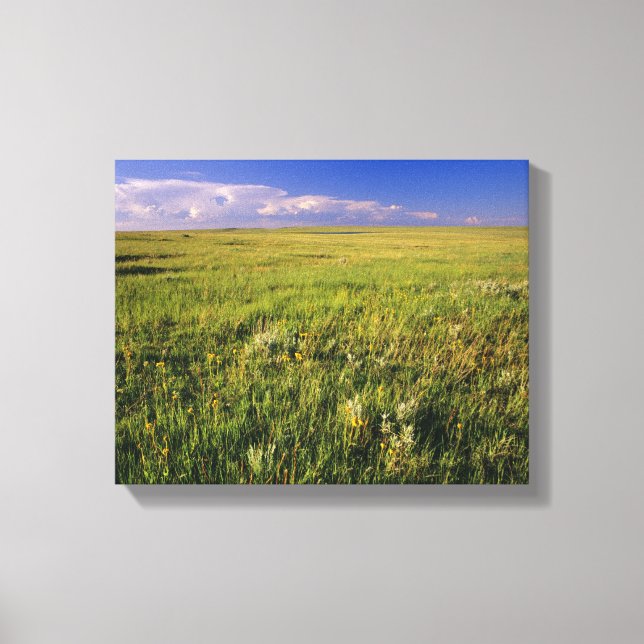 Short Grass Prairie in remote northeastern Canvas Print (Front)