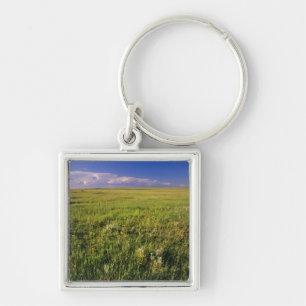 Short Grass Prairie in remote northeastern Key Ring