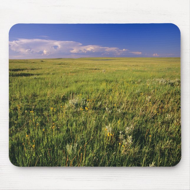 Short Grass Prairie in remote northeastern Mouse Mat (Front)
