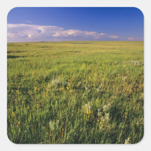 Short Grass Prairie in remote northeastern Square Sticker
