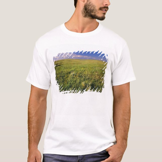 Short Grass Prairie in remote northeastern T-Shirt (Front)