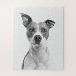 Short Hair Dog In Greyscale (Black & White) Jigsaw Puzzle