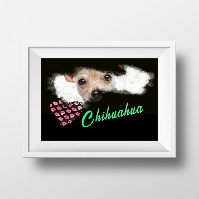 Short-Haired Chihuahua Eyes Solid Colour Poster (Creator Uploaded)