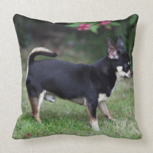Short Haired Chihuahua Standing Cushion