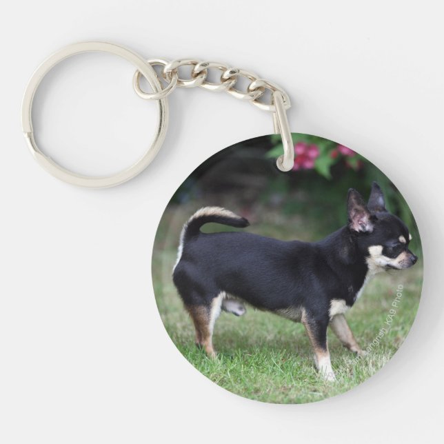 Short Haired Chihuahua Standing Key Ring (Front)