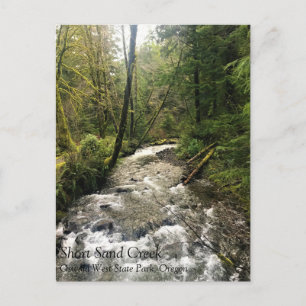 Short Sand Creek, Oswald West, Oregon Postcard