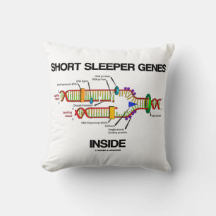 Short Sleeper Genes Inside DNA Replication Humour Cushion