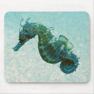 Short-Snouted Seahorse Crimea, Russia Mouse Mat