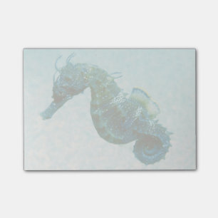 Short-Snouted Seahorse Crimea, Russia Post-it Notes