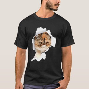 Shorthair Cats Torn Cloth Kitten 1 T-Shirt