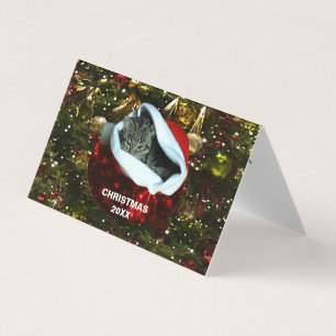 Shorthair Grey Cat in Red Santa Hat Christmas 20XX