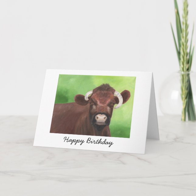 Shorthorn Bull Birthday Card (Front)