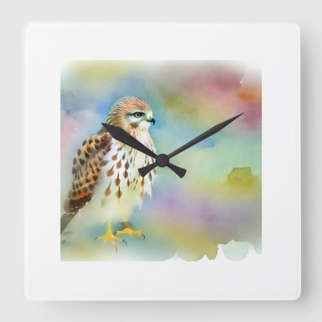Shorttailed Hawk 131024AREF137 - Watercolor Square Wall Clock (Front)