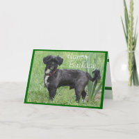 Shorty by Iris-customise any occasion