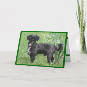 Shorty by Iris-customise any occasion Card
