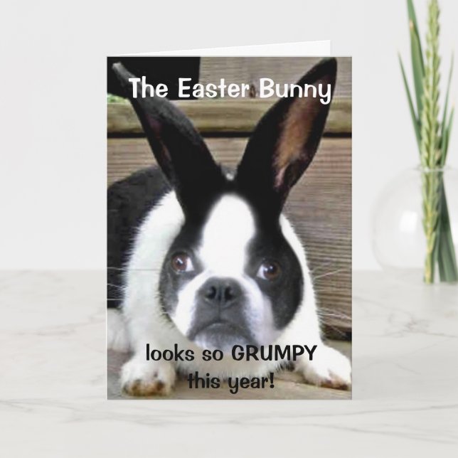 Shorty's 2011 Easter Card (Front)